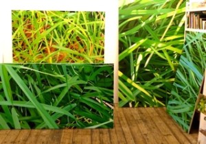 Künstlerin: Heidrun Widmoser