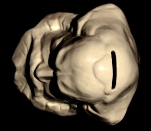 Foto: Lukas Neuhauser