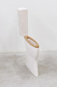 20150119_150701_toilette_2014b