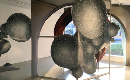 news1903b_2_NEU. Weikendorf_Witek_2018_SMALL