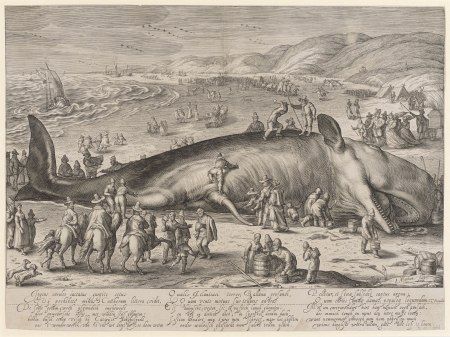 Hendrick GoltziusInventor   Jacob MathamStecher; Gestrandeter Wal; 1598