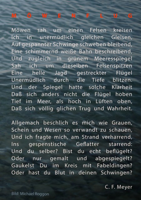 Zipser 2020 RS[2][1][5]