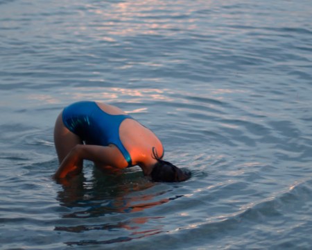 Zipser 2020 VS[1][1][5]-2.ausschnitt